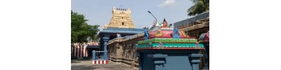 126. திருகருவிலி கொட்டிடை